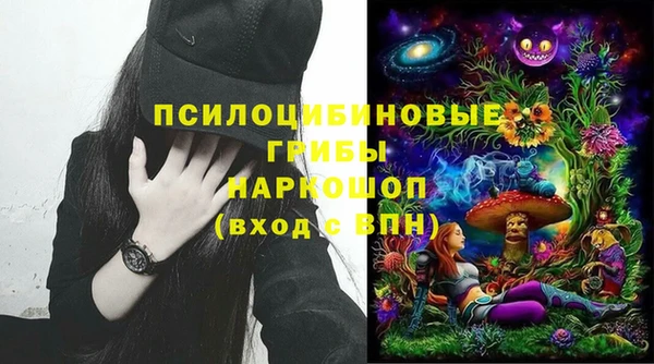 PSILOCYBIN Лабытнанги
