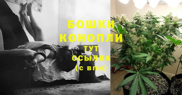 альфа пвп Вяземский